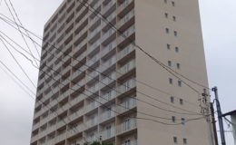 iguara1
